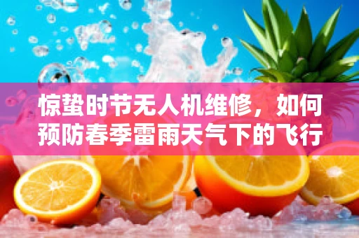 惊蛰时节无人机维修，如何预防春季雷雨天气下的飞行隐患？