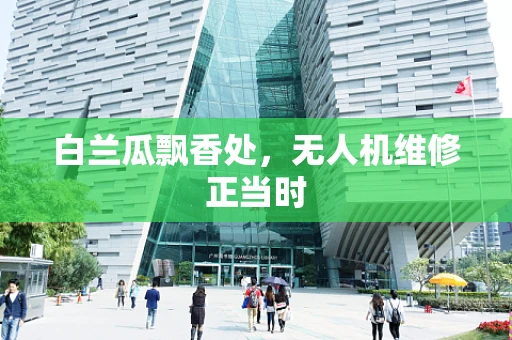 白兰瓜飘香处，无人机维修正当时