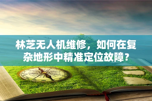 林芝无人机维修，如何在复杂地形中精准定位故障？