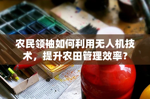 农民领袖如何利用无人机技术，提升农田管理效率？