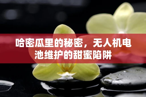 哈密瓜里的秘密，无人机电池维护的甜蜜陷阱