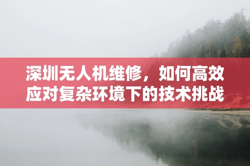 深圳无人机维修，如何高效应对复杂环境下的技术挑战？