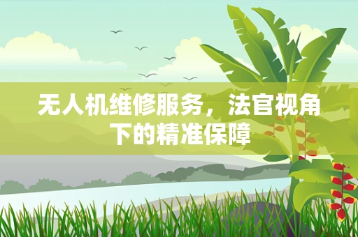 无人机维修服务，法官视角下的精准保障