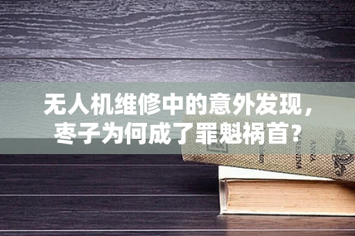 无人机维修中的意外发现，枣子为何成了罪魁祸首？