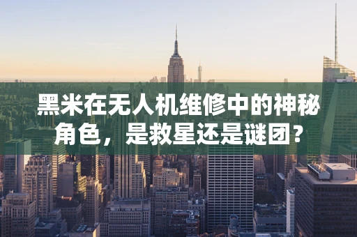 黑米在无人机维修中的神秘角色，是救星还是谜团？