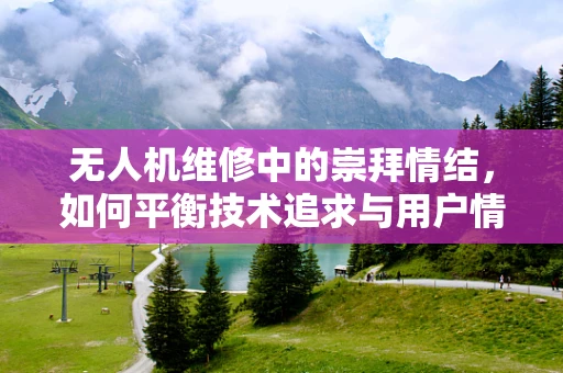 无人机维修中的崇拜情结，如何平衡技术追求与用户情感？