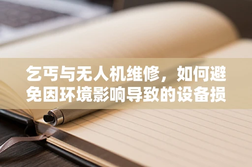 乞丐与无人机维修，如何避免因环境影响导致的设备损坏？