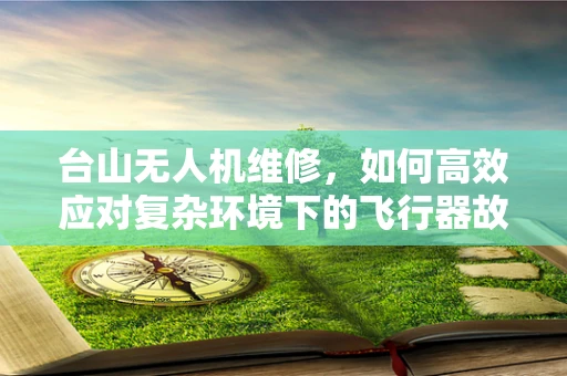 台山无人机维修，如何高效应对复杂环境下的飞行器故障？