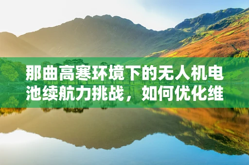 那曲高寒环境下的无人机电池续航力挑战，如何优化维修策略？