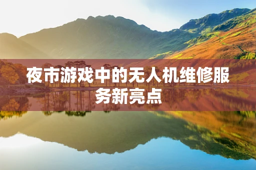 夜市游戏中的无人机维修服务新亮点