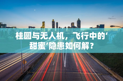 桂圆与无人机，飞行中的‘甜蜜’隐患如何解？