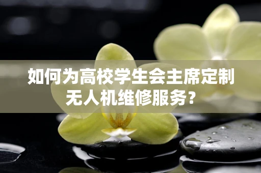如何为高校学生会主席定制无人机维修服务？