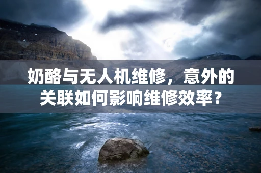 奶酪与无人机维修，意外的关联如何影响维修效率？