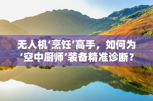 无人机‘烹饪’高手，如何为‘空中厨师’装备精准诊断？