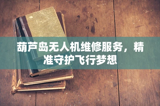 葫芦岛无人机维修服务，精准守护飞行梦想