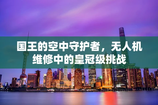 国王的空中守护者，无人机维修中的皇冠级挑战