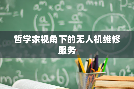 哲学家视角下的无人机维修服务
