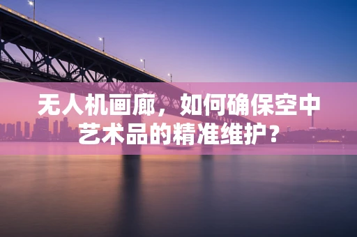 无人机画廊，如何确保空中艺术品的精准维护？