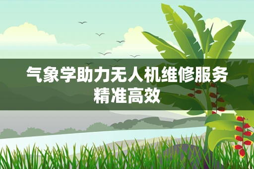 气象学助力无人机维修服务精准高效