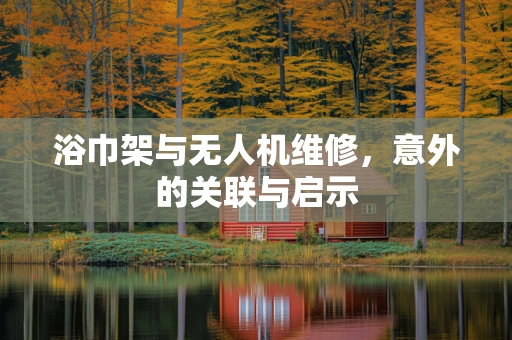 浴巾架与无人机维修，意外的关联与启示