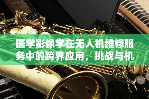 医学影像学在无人机维修服务中的跨界应用，挑战与机遇？