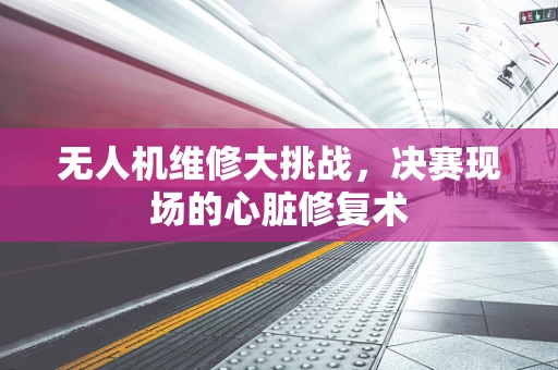 无人机维修大挑战，决赛现场的心脏修复术