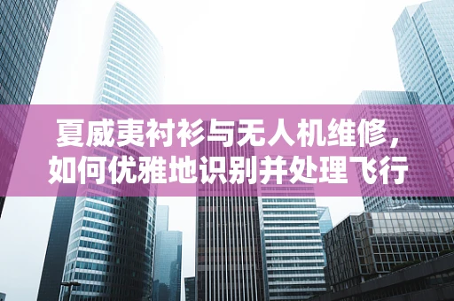 夏威夷衬衫与无人机维修，如何优雅地识别并处理飞行器上的非正式问题？