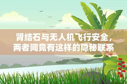 肾结石与无人机飞行安全，两者间竟有这样的隐秘联系？