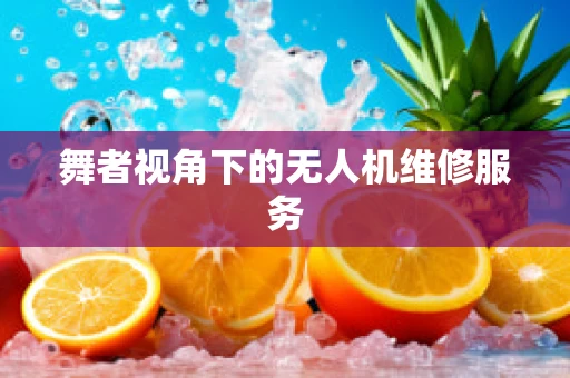 舞者视角下的无人机维修服务