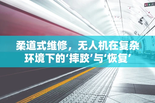 柔道式维修，无人机在复杂环境下的‘摔跤’与‘恢复’