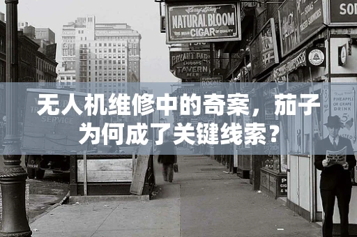 无人机维修中的奇案，茄子为何成了关键线索？