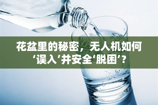 花盆里的秘密，无人机如何‘误入’并安全‘脱困’？