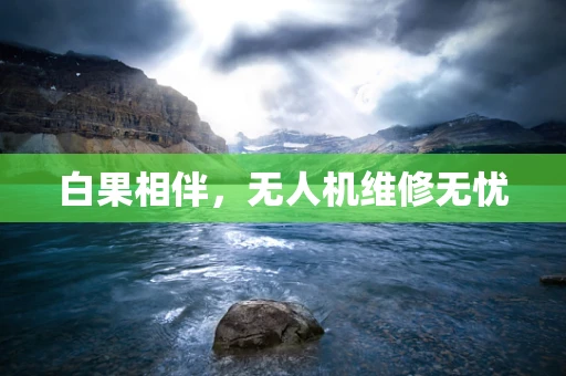 白果相伴，无人机维修无忧