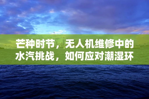 芒种时节，无人机维修中的水汽挑战，如何应对潮湿环境下的技术难题？