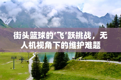 街头篮球的‘飞’跃挑战，无人机视角下的维护难题