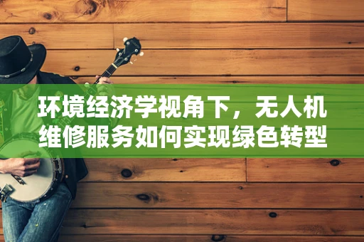 环境经济学视角下，无人机维修服务如何实现绿色转型？