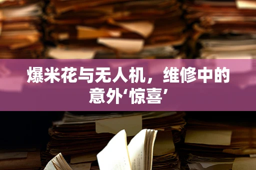 爆米花与无人机，维修中的意外‘惊喜’