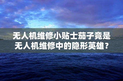 无人机维修小贴士茄子竟是无人机维修中的隐形英雄？