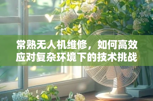 常熟无人机维修，如何高效应对复杂环境下的技术挑战？