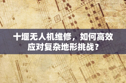 十堰无人机维修，如何高效应对复杂地形挑战？