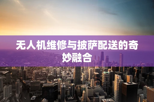 无人机维修与披萨配送的奇妙融合