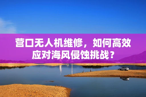 营口无人机维修，如何高效应对海风侵蚀挑战？