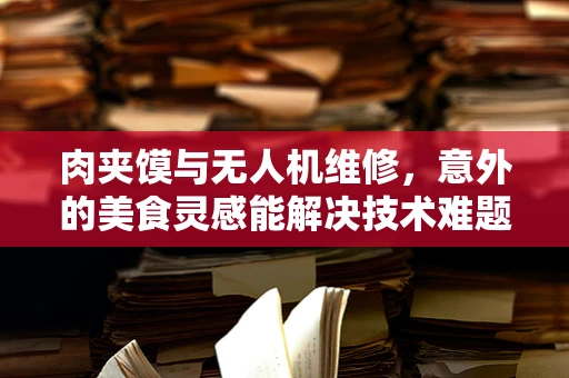 肉夹馍与无人机维修，意外的美食灵感能解决技术难题吗？