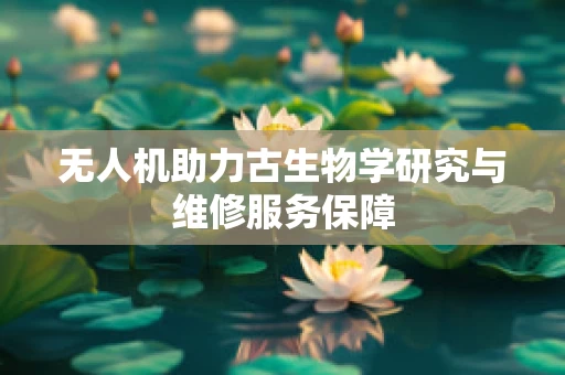 无人机助力古生物学研究与维修服务保障