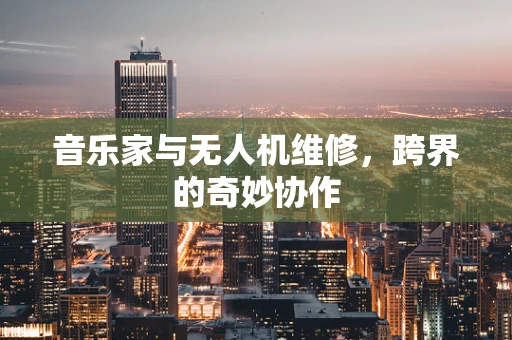 音乐家与无人机维修，跨界的奇妙协作