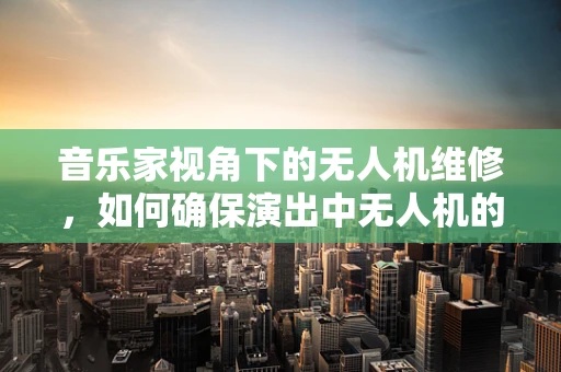 音乐家视角下的无人机维修，如何确保演出中无人机的‘乐章’完美无缺？