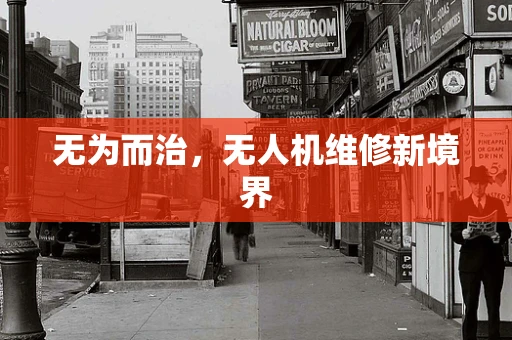 无为而治，无人机维修新境界