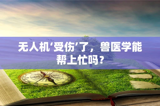 无人机‘受伤’了，兽医学能帮上忙吗？