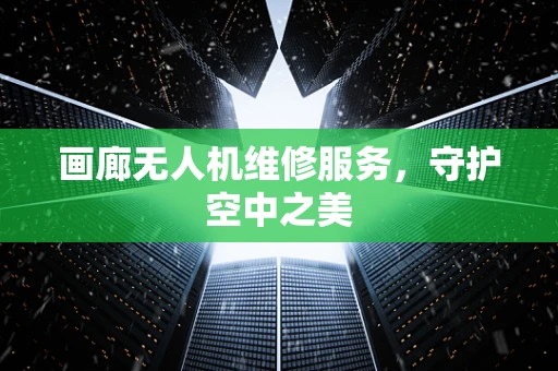 画廊无人机维修服务，守护空中之美