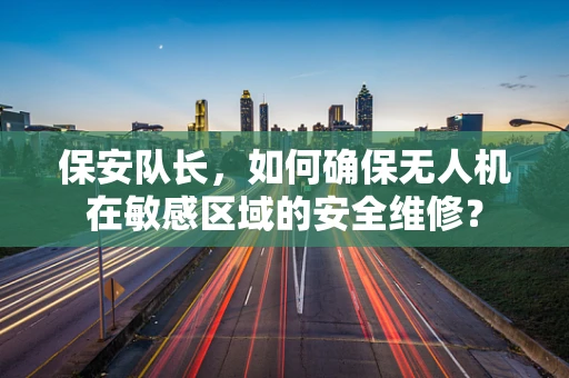保安队长，如何确保无人机在敏感区域的安全维修？